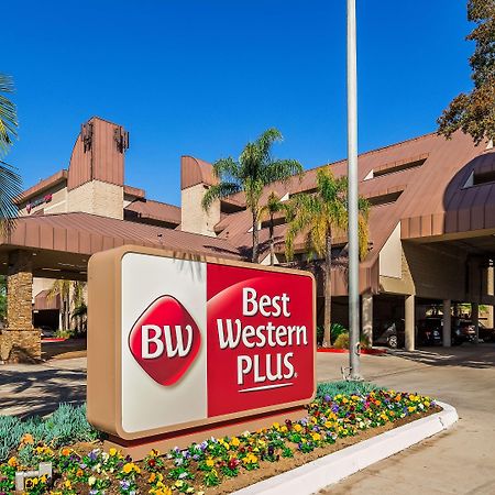 Best Western Plus Irvine Spectrum Hotel Lake Forest Luaran gambar